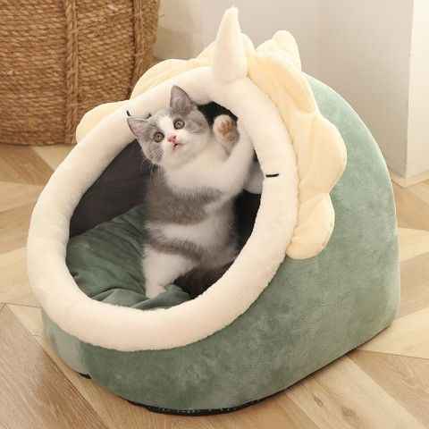Trusted CAT Sitter Services: Dependable Care for Your Furry Friend - ClickNbuy