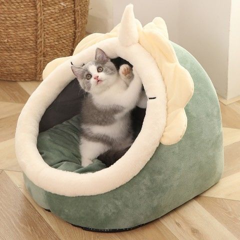 Trusted CAT Sitter Services: Dependable Care for Your Furry Friend - ClickNbuy