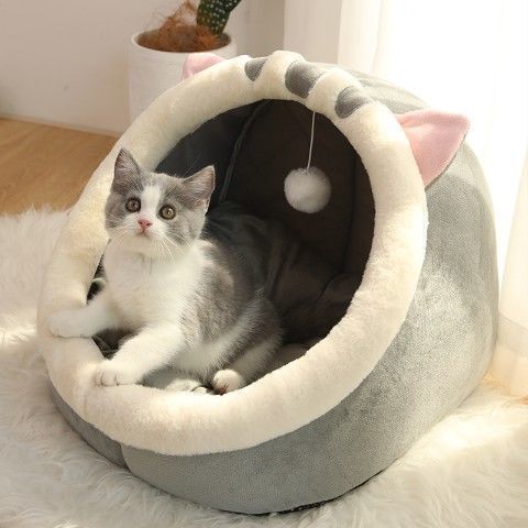 Trusted CAT Sitter Services: Dependable Care for Your Furry Friend - ClickNbuy