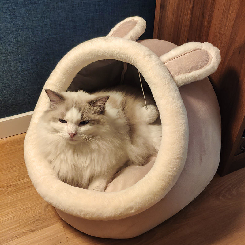 Trusted CAT Sitter Services: Dependable Care for Your Furry Friend - ClickNbuy