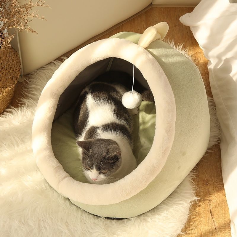 Trusted CAT Sitter Services: Dependable Care for Your Furry Friend - ClickNbuy
