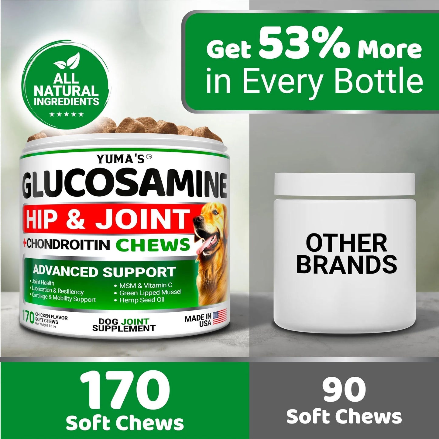 Dog Joint Supplement Glucosamine for Healthy Hips with Chondroitin & MSM - ClickNbuy