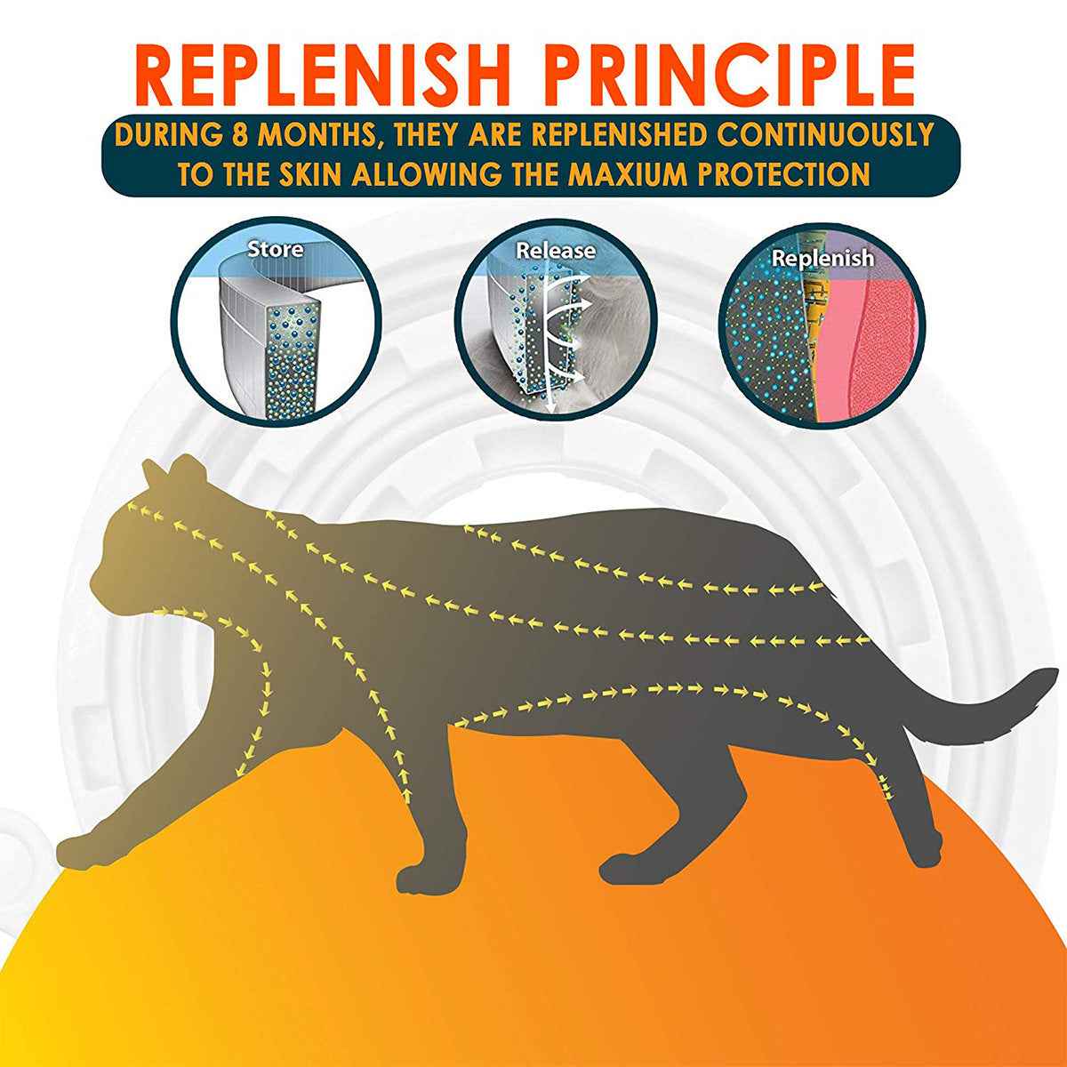 Dog Flea Collar - Long-Lasting Tick and Mosquito Repellent for Pets - ClickNbuy