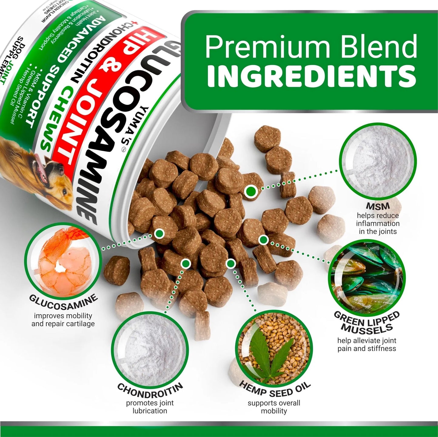 Dog Joint Supplement Glucosamine for Healthy Hips with Chondroitin & MSM - ClickNbuy