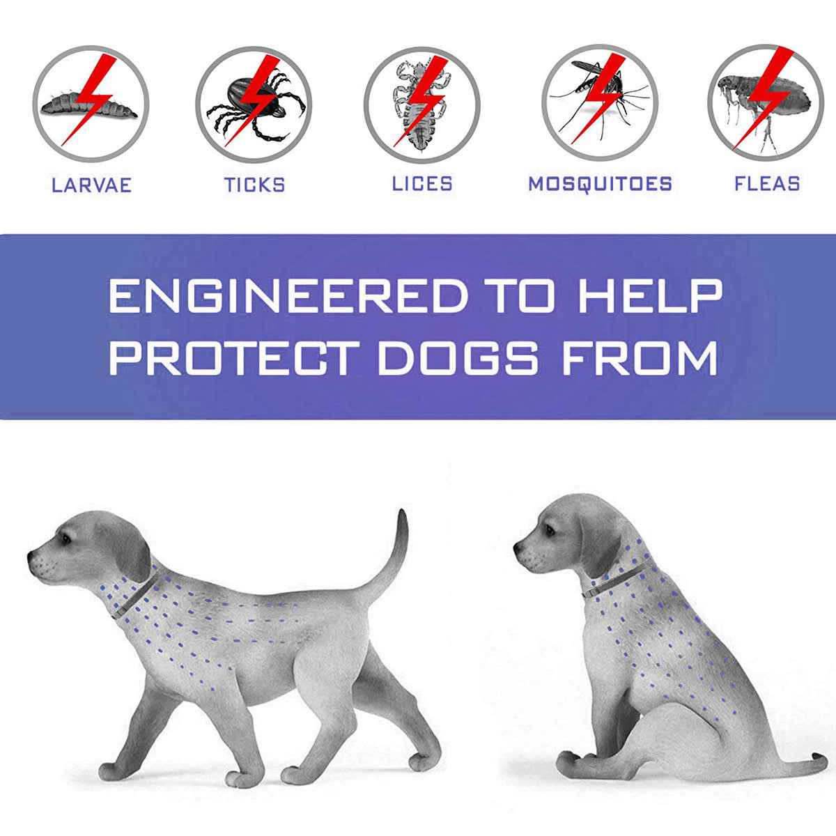 Dog Flea Collar - Long-Lasting Tick and Mosquito Repellent for Pets - ClickNbuy