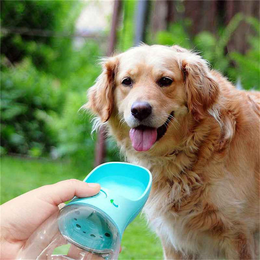 Pet Water Bottle for Dogs - Outdoor Portable Water Cup - ClickNbuy