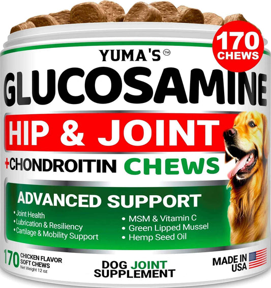 Dog Joint Supplement Glucosamine for Healthy Hips with Chondroitin & MSM - ClickNbuy