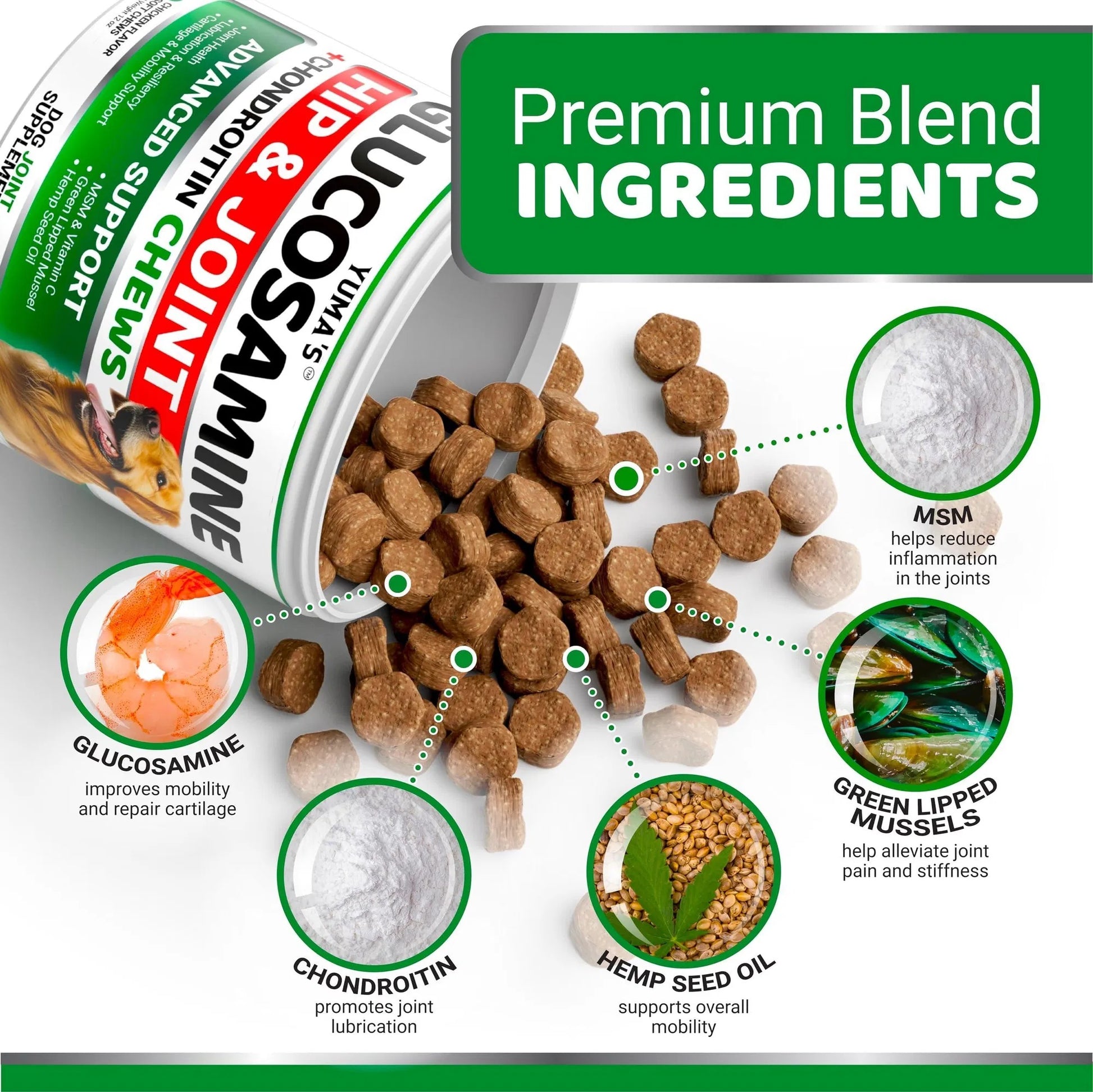 Dog Joint Supplement Glucosamine for Healthy Hips with Chondroitin & MSM - ClickNbuy